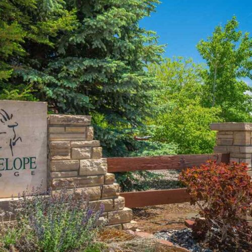 Antelope Ridge