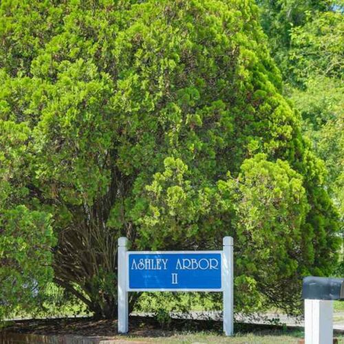 Ashley Arbor II