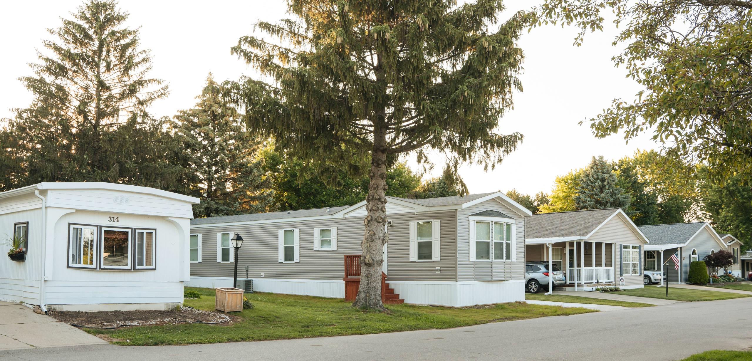 Fremont Grove