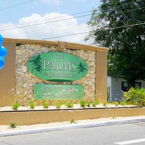 The Palms of Archer